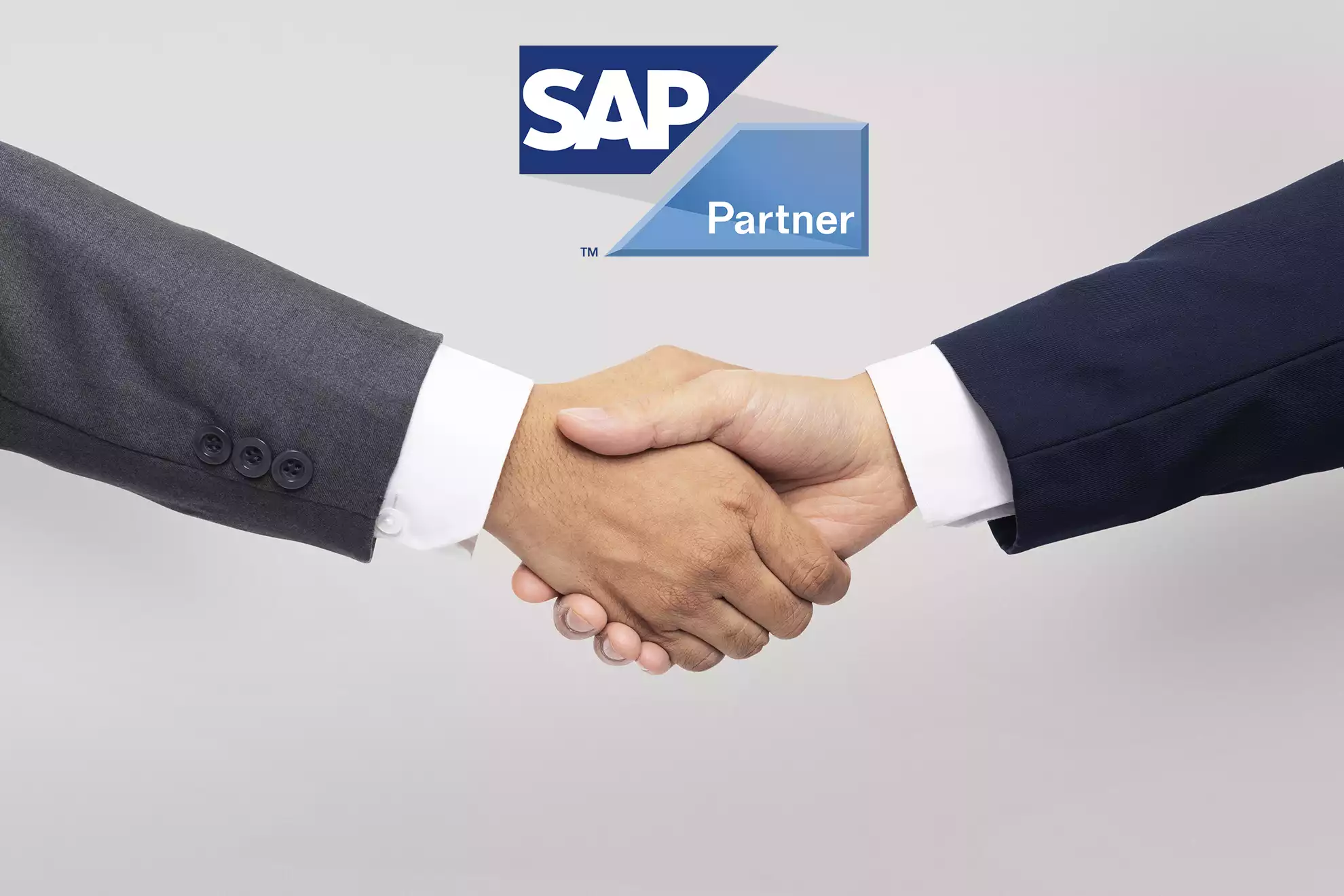 SAP Channel Partner