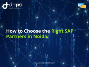 SAP Partners in Noida