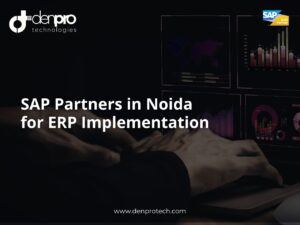 SAP Partners in Noida