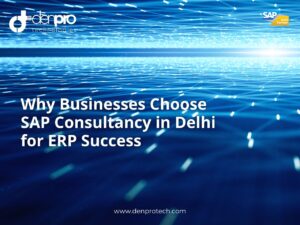 SAP Consultancy in Delhi