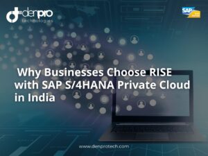 RISE with SAP S/4HANA Private Cloud Services in India