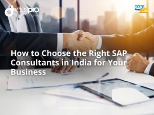 SAP Consultants in India